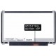 Laptop Bildschirm Asus Eeebook X205TA-DS01 LCD Display 11,6“ LED 30pin eDP - Matt